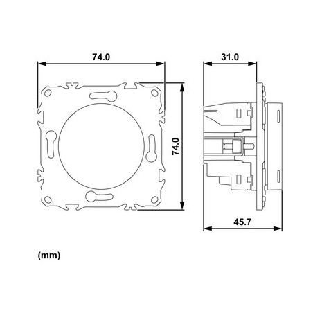 Wiser S9420502 Odace - Termostato inteligente con cable de 2 A, blanco