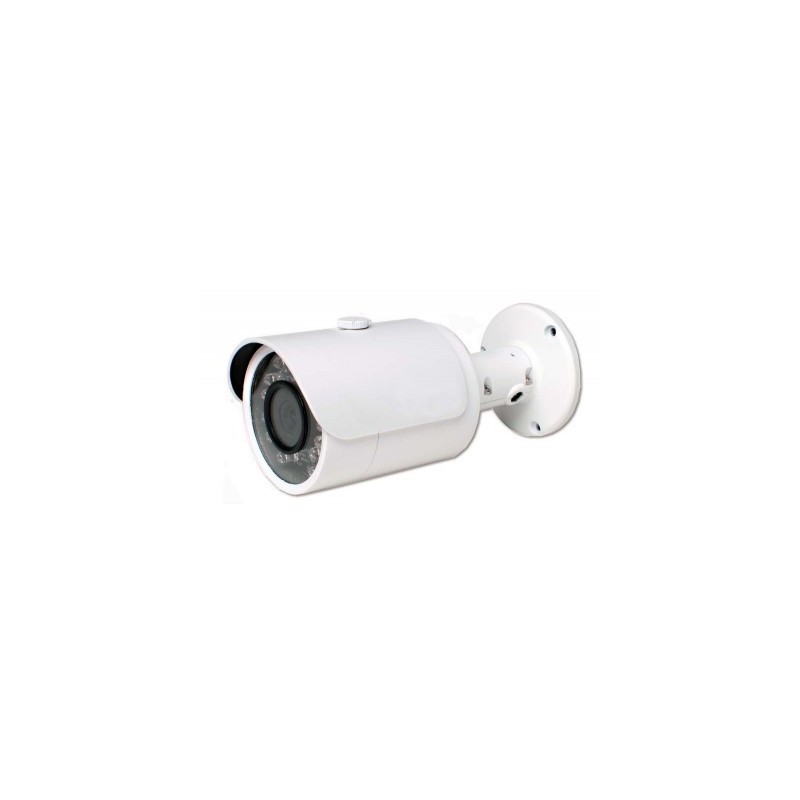 Fotocamera Iconnect EL5855OUT - Macchina fotografica all'aperto del IP / WIFI 1.3 MP