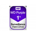 Festplatte Purple - Western Digital 1ToO 5400 u/min 3,5"