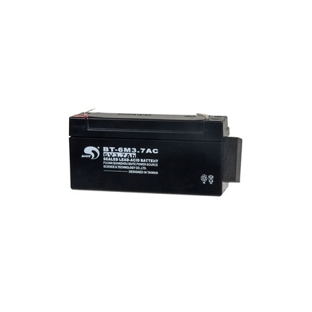 RISCO 1BT3031 Agility - Batterie 6V 3,7Ah RISCO 1BT3031 pour centrale Agility