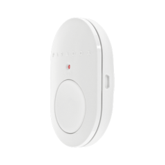 Paradox REM101 - White radio palic button
