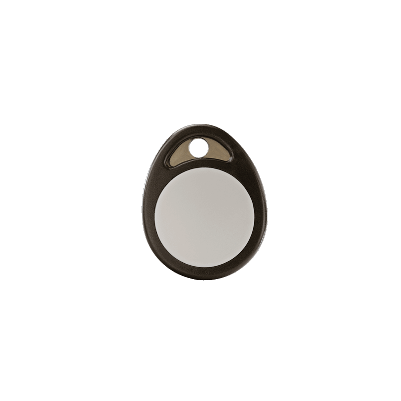 Delta Dore BRFID TYXAL+ Tyxial+ - Etiqueta RFID