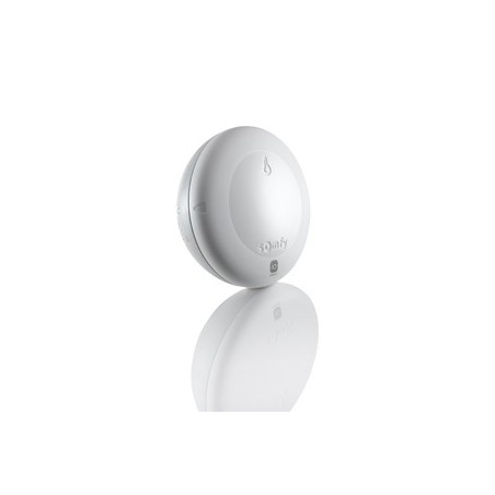 Somfy 1822303 - Somfy IO temperature sensor