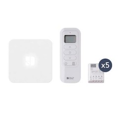 Delta Dore Pack TYXIA 642 - Pack de persianas enrollables Tydom Home