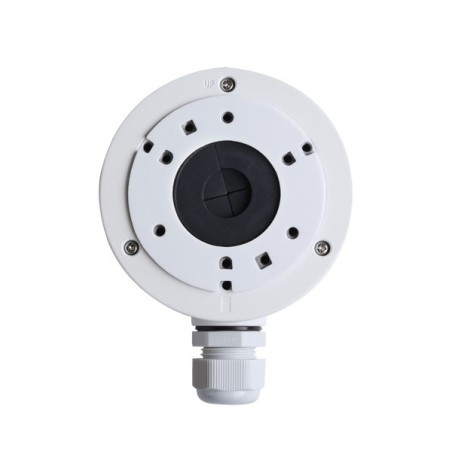 Delta Dore BRE 6417019 - Boitier raccordement étanche pour Caméra Tycam Guard