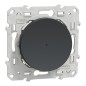 S540530W Wiser Odace - 10A zigbee connected push button anthracite