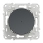 S540530W Wiser Odace - 10A Zigbee Connected Taster anthrazit