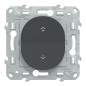 S340531 Wiser Ovalis - Interruptor central inalámbrico de 2 o 4 BP antracita S340531 Wiser Ovalis - Interruptor central inalámbrico de 2 o 4 BP antracita