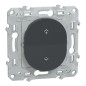 S340531 Wiser Ovalis - Interruptor central inalámbrico de 2 o 4 BP antracita S340531 Wiser Ovalis - Interruptor central inalámbrico de 2 o 4 BP antracita