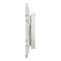 Interruttore centrale wireless 2 o 4 BP bianco S520531 più saggio