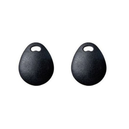 Risco RP200KT2000A - Juego de 2 insignias de teclado de 13.56Mhz