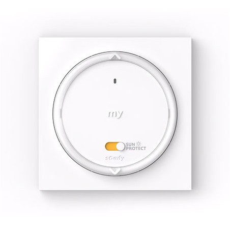 Somfy 1871444 - 1 io channel control with temperature sensor