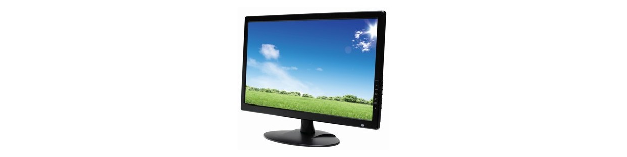 Monitor de Video para la vigilancia