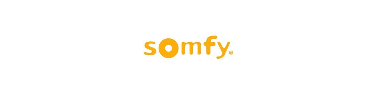 Alarme connecté Somfy Serenity Essential. Alarme Somfy Protexiom. Système D'Alarme Somfy Protexial