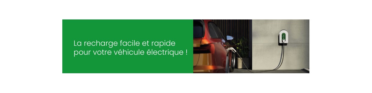 Carga de vehículos eléctricos