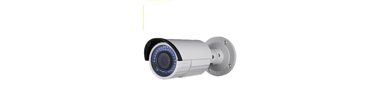 Telecamera di videosorveglianza.Telecamera Dome videosorveglianza.